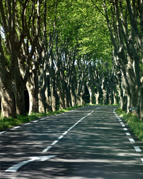 on the road